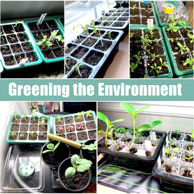 Sfee seed starter kit makes a thoughtful gift for budding gardeners