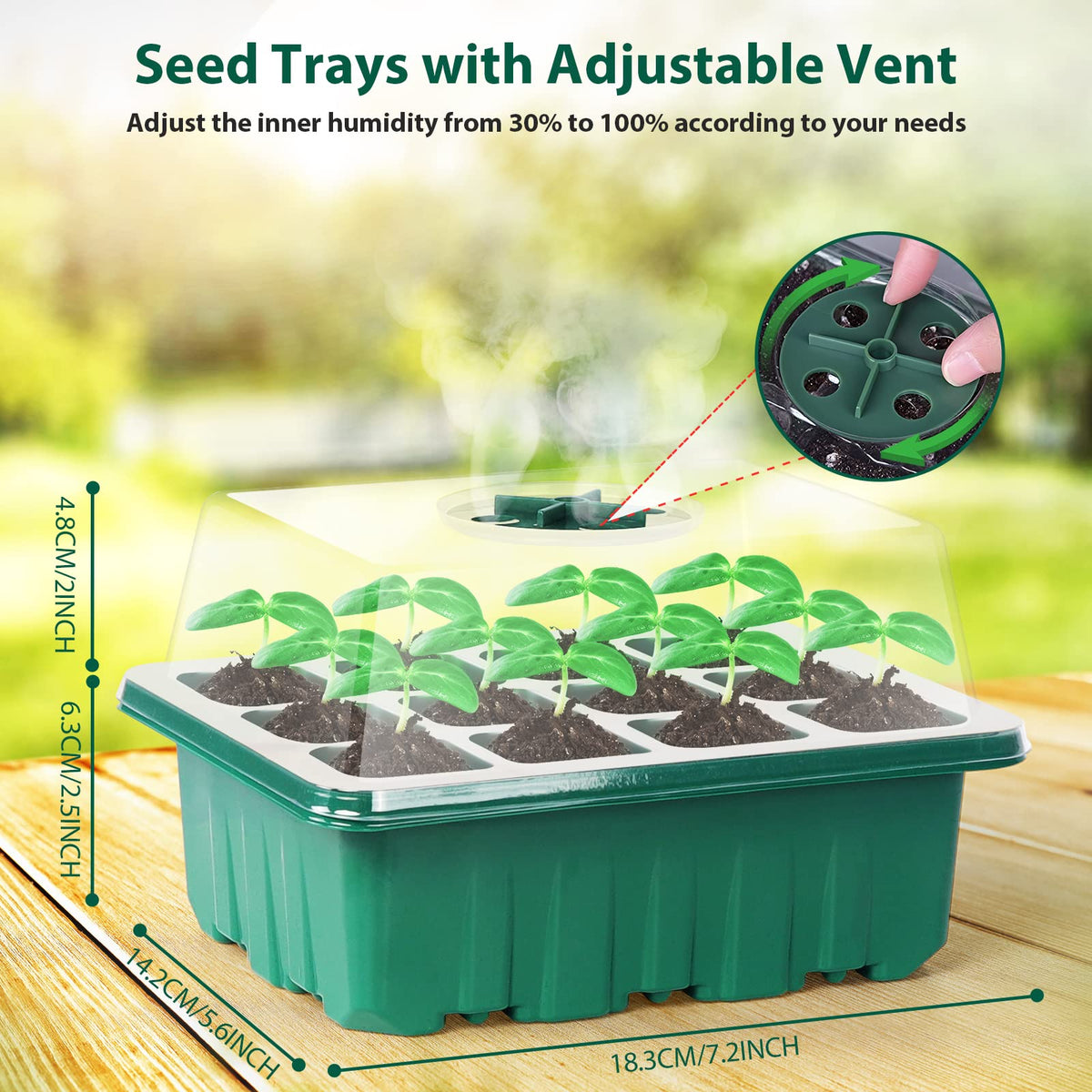 Sfee transparent lid lets you watch root development without disturbing plants