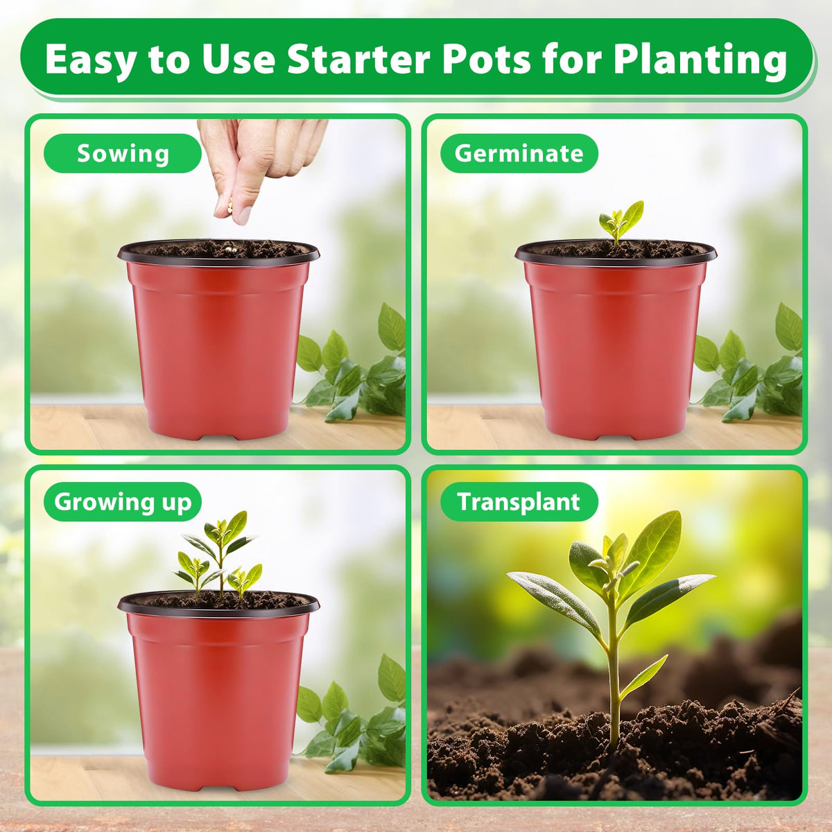 Sfee pots shown on a windowsill for natural home gardening.