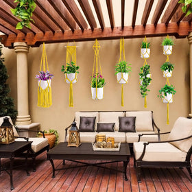 SFENNGPET indoor plant display in boho living room, versatile decor.