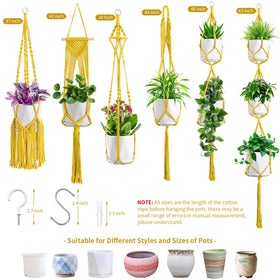 SFENNGPET pots not included, ideal gift for plant lovers.