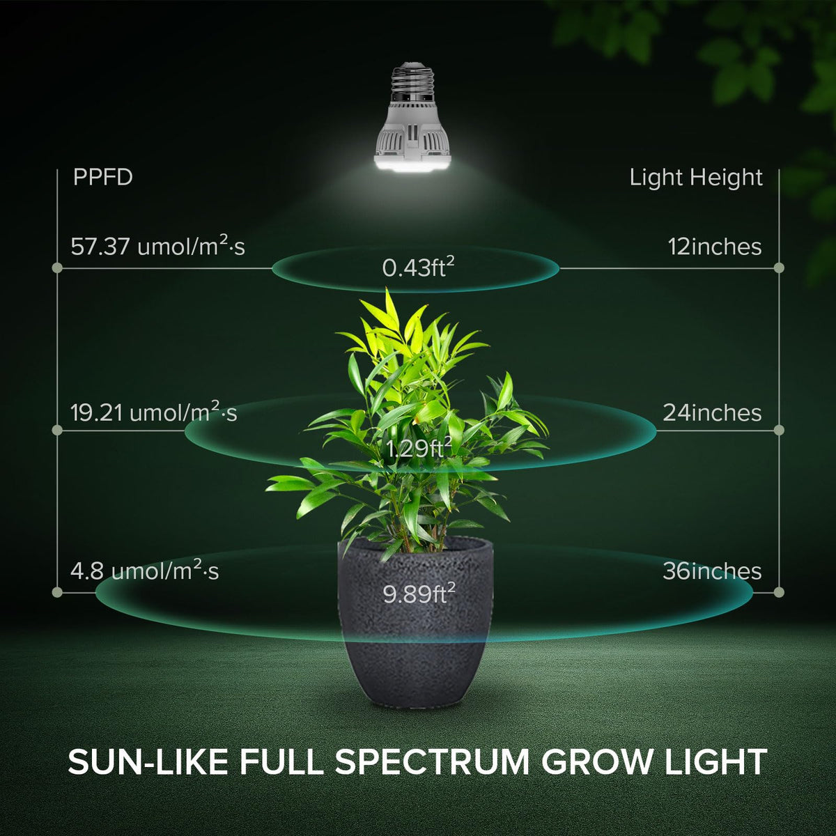 SGLEDs 770-lumen brightness for leafy greens.