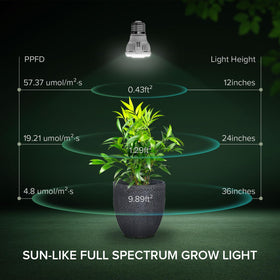 SGLEDs 770-lumen brightness for leafy greens.