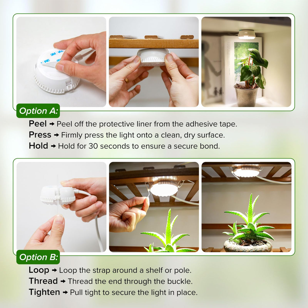 SGLEDs 7W grow light ideal for seedlings, herbs, and leafy greens