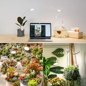 SGLEDs compact indoor plant light makes a thoughtful gift for plant lovers.