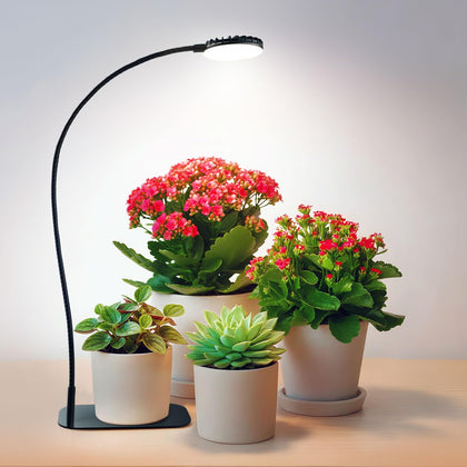 SGLEDs desktop grow light front view boosts seedling growth and foliage.
