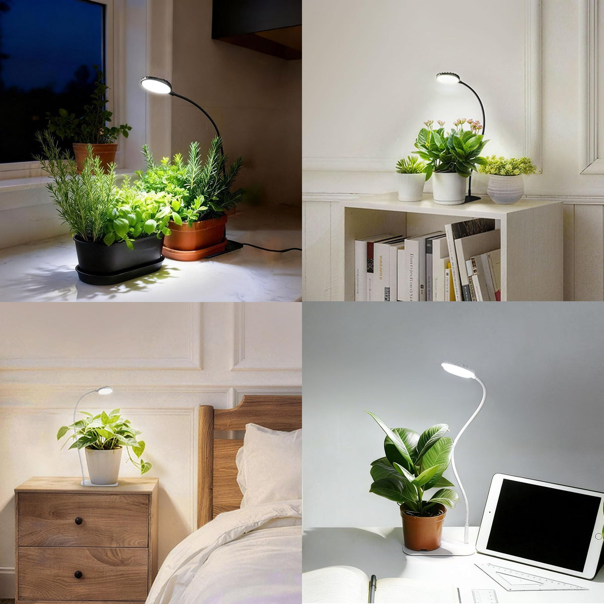 SGLEDs gooseneck design allows precise desk lighting.