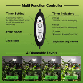 SGLEDs grow light with timer and dimming customizes daily cycles.