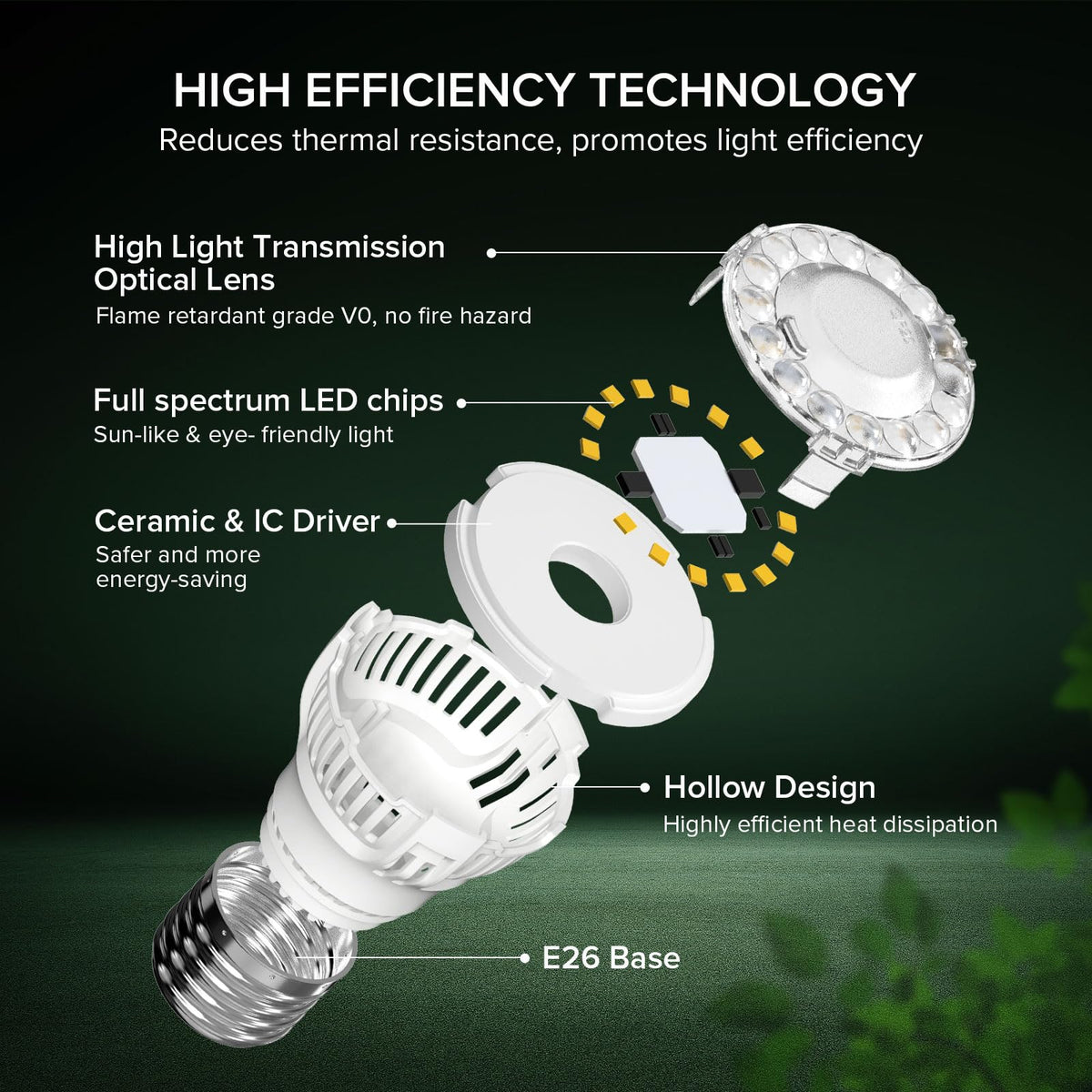 SGLEDs 7W operation saves energy indoors.