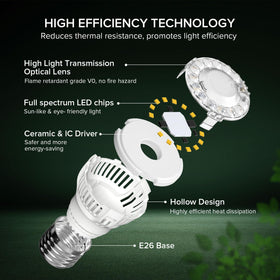 SGLEDs 7W operation saves energy indoors.