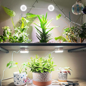 SGLEDs puck grow light cooling system preserves stable performance.