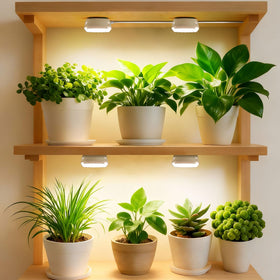 SGLEDs puck grow light room garden setup for shelves and cabinets.
