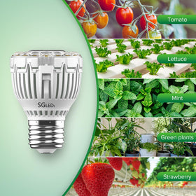 SGLEDs secondary lens design improves light distribution on plants