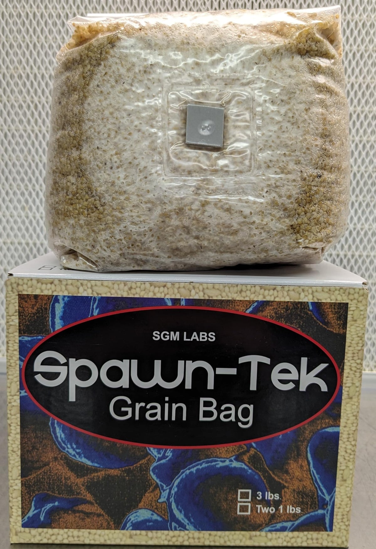 SGM LABS Spawn-Tek injection port close-up enables sterile spore transfer