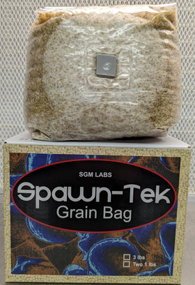 SGM LABS Spawn-Tek injection port close-up enables sterile spore transfer
