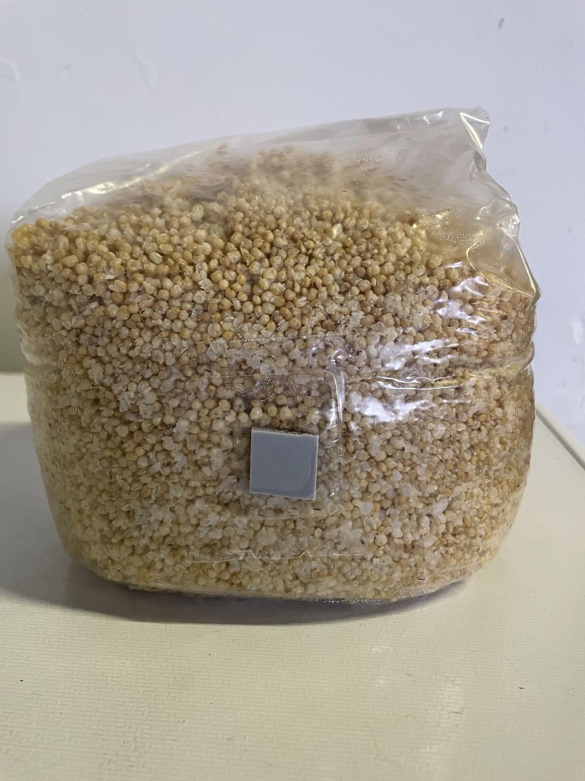 SGM LABS Spawn-Tek millet contents close-up highlighting hydrated nutrition