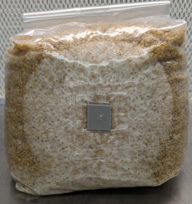 SGM LABS Spawn-Tek zero-point-two-micron patch close-up blocks contaminants while allowing gas exchange