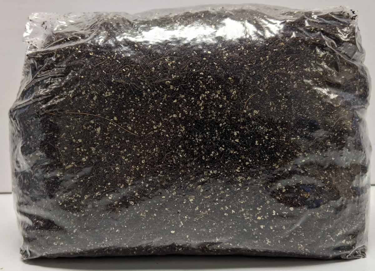 SGM LABS Black Coco Substrate close-up of CVG mix, promoting high-yield mushroom growth.