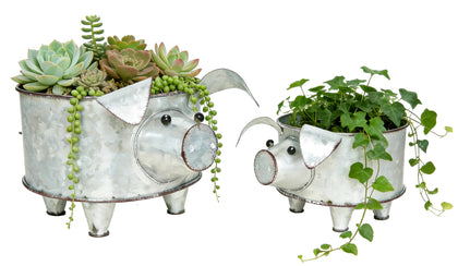 ShabbyDecor galvanized pig planter, large front view, adds rustic farmhouse charm.