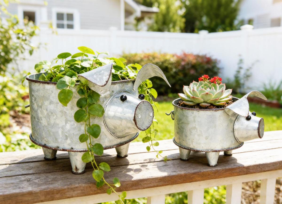 ShabbyDecor outdoor patio display with pig planters in a sunlit setting.