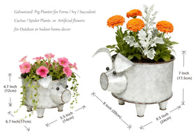 ShabbyDecor pig planter packaging showing two sizes for versatile arrangements.