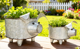ShabbyDecor pig planter on a shelf, versatile décor for any room.