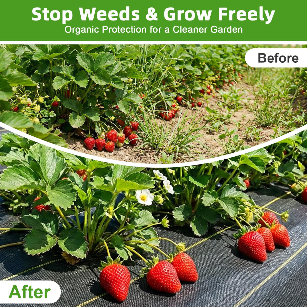 Shade&Beyond woven polypropylene construction offers durable garden protection