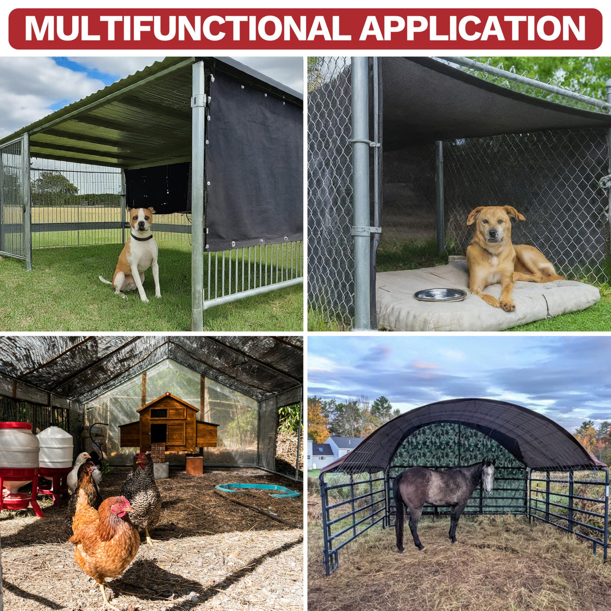 Custom size options to fit barns, coops, and carports