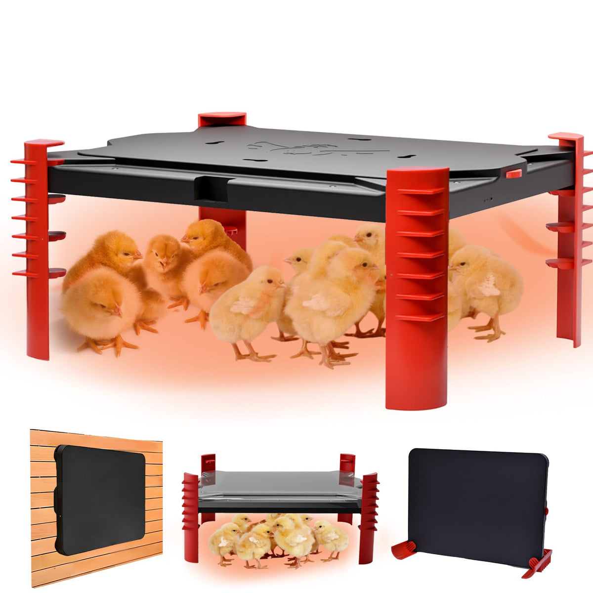 Shaledig 150W chick brooder plate warmly heats chicks safely