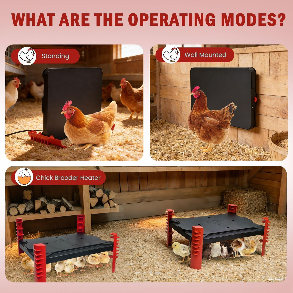 Shaledig 2-in-1 brooder heat plate keeps chicks comfortable