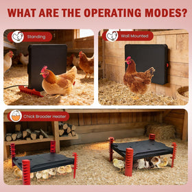 Shaledig 2-in-1 brooder heat plate keeps chicks comfortable