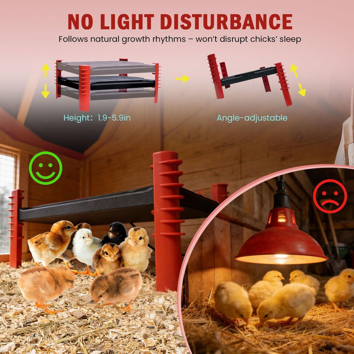Shaledig energy-efficient radiant plate saves power while warming coop