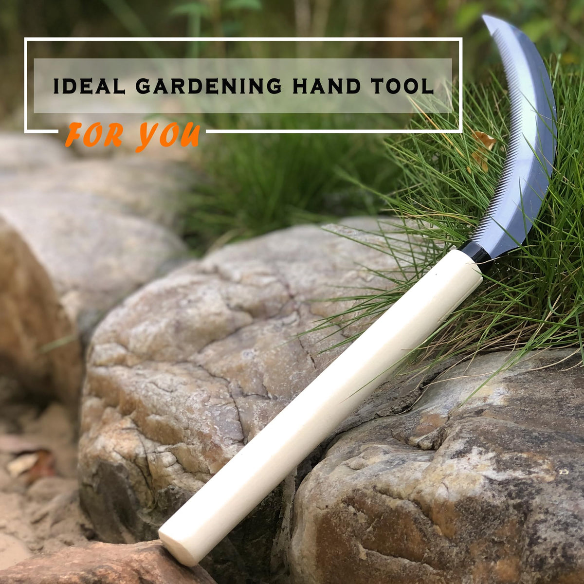 SHANFEEK Japanese weeding hoe design supports efficient garden weeding