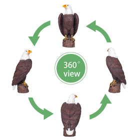 SHAODIE eagle sculpture in outdoor garden display showcases weather-resistant resilience