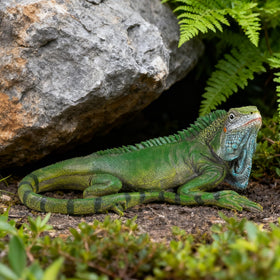 SHAODIE garden iguana sculpture complements patios and walkways
