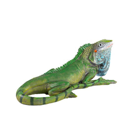 SHAODIE outdoor resin iguana statue adds lifelike detail to your garden