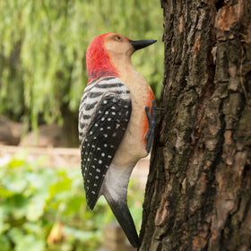 SHAODIE resin bird statue includes mounting hardware for easy installation.