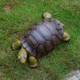 Close-up of SHAODIE tortoise sculpture shell texture for lifelike look