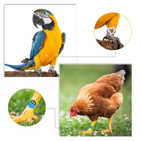 Shappy labeling solution for coops or aviaries with style.