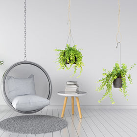 Shappy four-piece set in use for balcony and patio elevation.