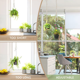 Shappy indoor-outdoor plant display offering easy setup and stylish flair.