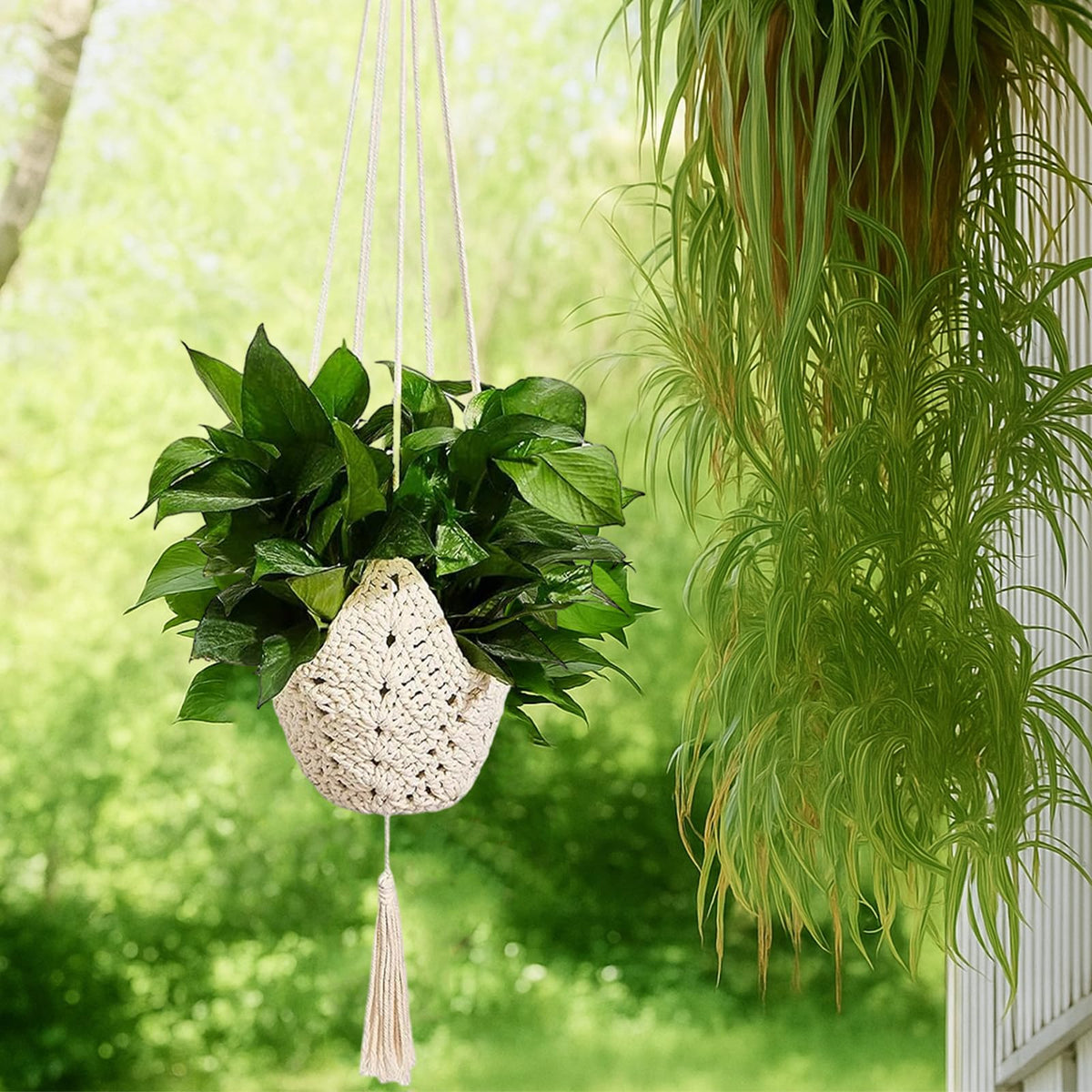 Ideal for indoor and seasonal Halloween decor displays