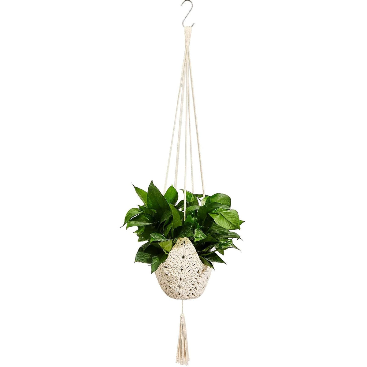 Shappy jute crochet plant hanger suspends 3–12 inch pots for versatile indoor display