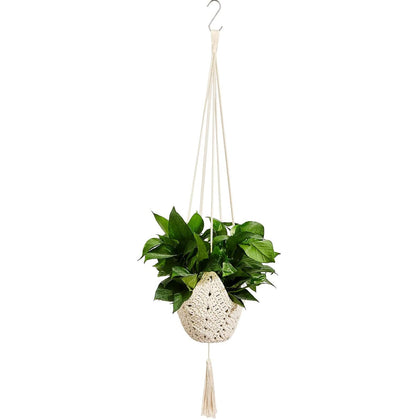 Shappy jute crochet plant hanger suspends 3–12 inch pots for versatile indoor display
