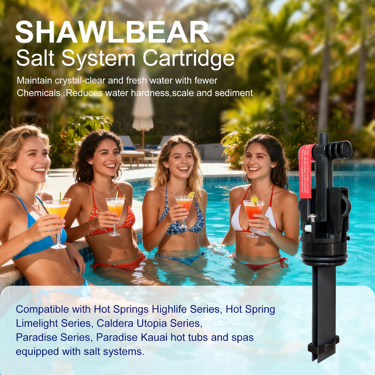 SHAWLBEAR titanium chlorine generator inside view for steady spa sanitization