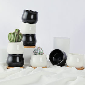SHECIPIN 12-pack set simplifies organizing small plants