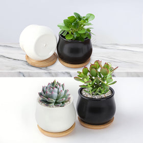 SHECIPIN bamboo tray catches excess water for tidy surfaces