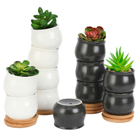 SHECIPIN 12-pack ready display for cohesive decor