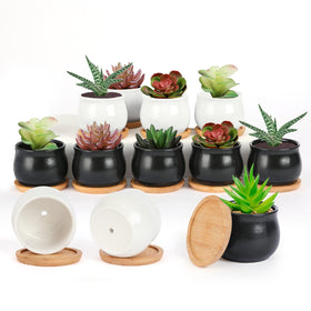 SHECIPIN succulent pot in matte black for stylish balcony display