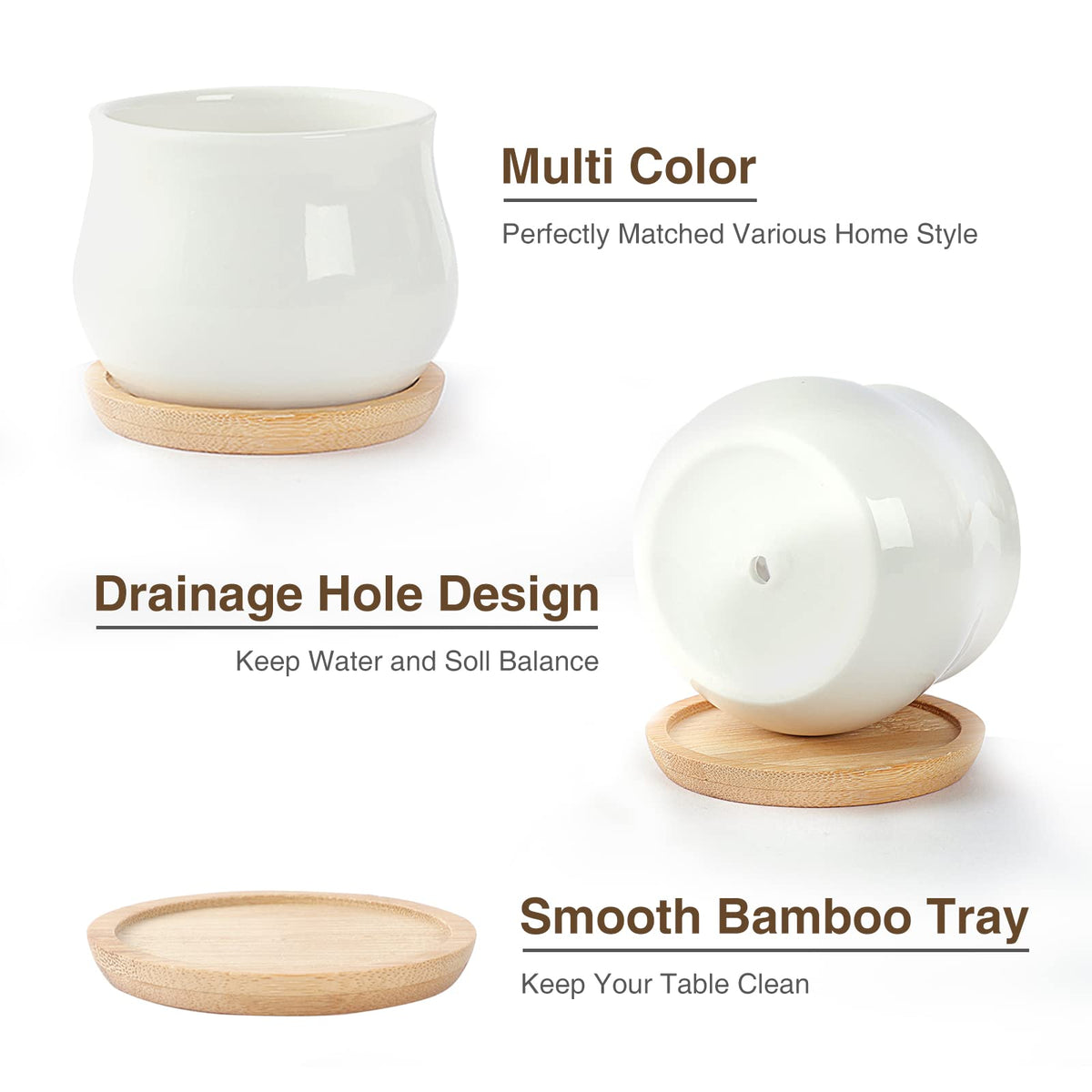 SHECIPIN succulent pot in matte white adds modern elegance